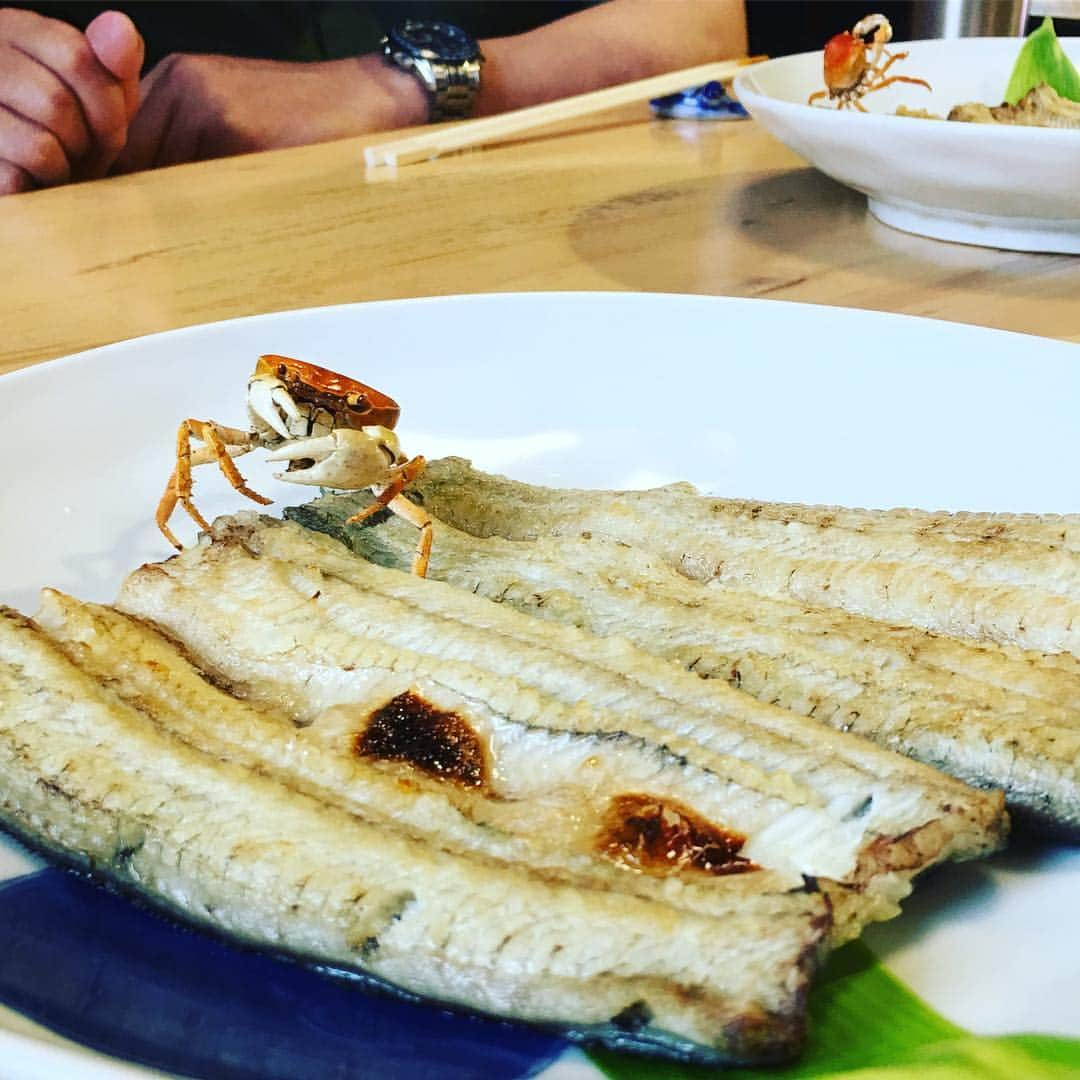 タカさんのインスタグラム写真 - (タカInstagram)「小田原にて  #ウナギの白焼き #カニ🦀飾り付き #ふわふわ #かろうじて形を保っている #口の中でとろけます」6月20日 21時50分 - taka.tkg