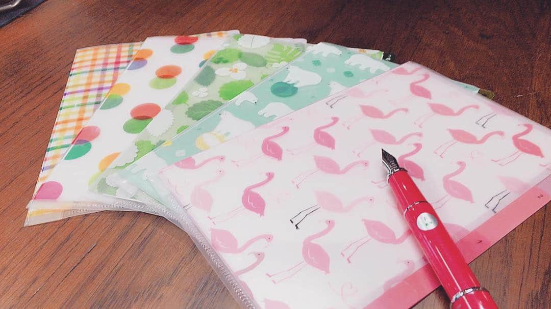 PENNAのインスタグラム：「[3ポケットクリアホルダー] 新柄入荷いたしました！ 3ポケットになっているので書類の整理もこれで楽チンです(^_-)」