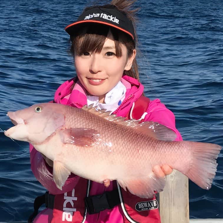 井上直美さんのインスタグラム写真 - (井上直美Instagram)「福井で初めてのフカセ釣りにチャレンジして、これまた初めてのお魚さんに出会いましたん(o^^o)コブダイ？かな？  #釣り  #釣りガール  #フカセ釣り  #初めての  #玄達瀬」6月25日 11時54分 - naochingyo