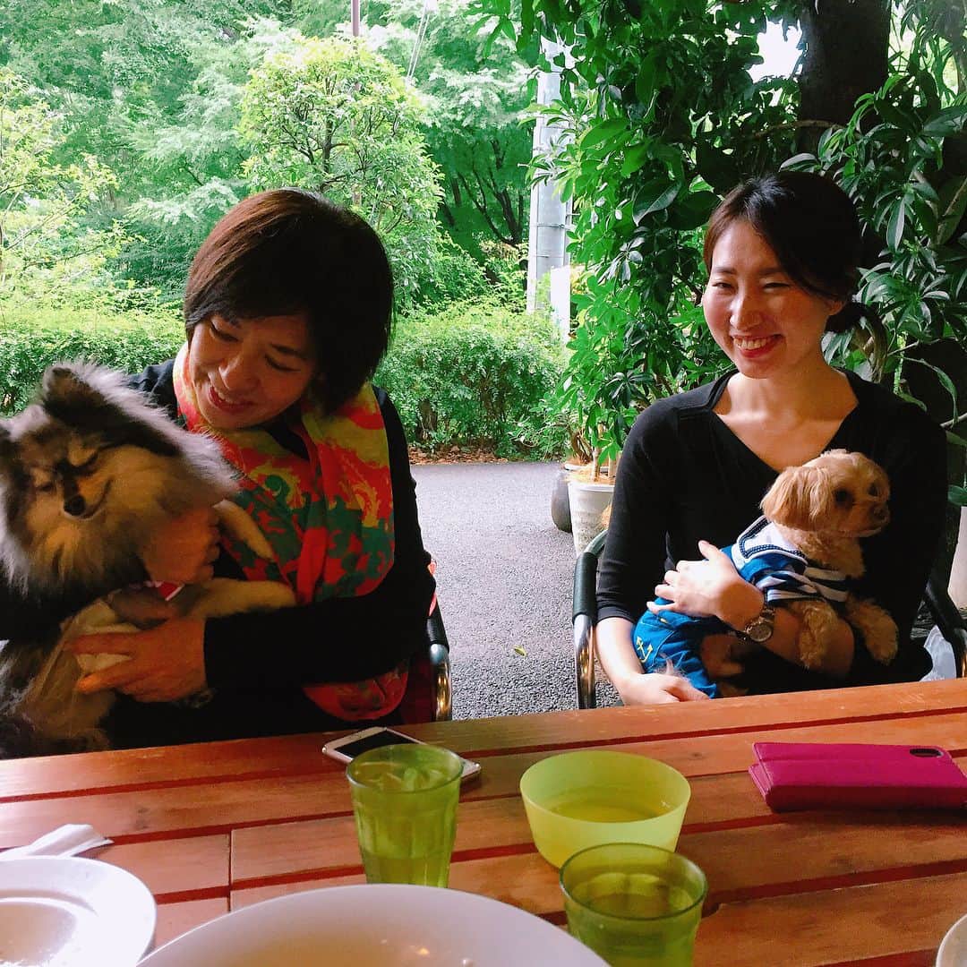 Naomin❤︎ Swaymeさんのインスタグラム写真 - (Naomin❤︎ SwaymeInstagram)「お世話になった方達とランチ🍗 六本木なのに、緑がいっぱい🌳🌲🍃 癒されたー✨✨✨ みんな、ありがとう♡ 沢山笑ったなぁ🤣 またまた、笑顔が素敵すぎるメンバーでした😆  ミッドタウンをお散歩して、お買い物🛍  #midtown #tokyo  #holiday #girlstalk #happiness #happy #dog #Pomeranian #チワプー #dogcafe #lunch」6月25日 22時32分 - swayme_2012
