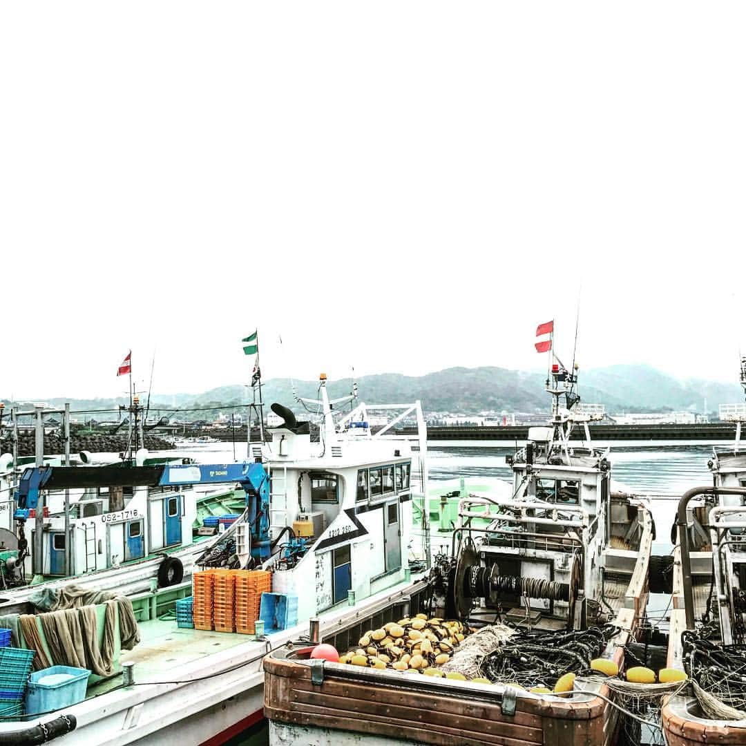 丸山穂高のインスタグラム：「地元周りでの風景。大阪最南端岬町の深日（ふけ）漁港にて。漁師の皆さんによると今の時期はええ鱧（はも）が獲れるんやとのこと。 #岬町 #深日漁港 #曇り空 #鱧」