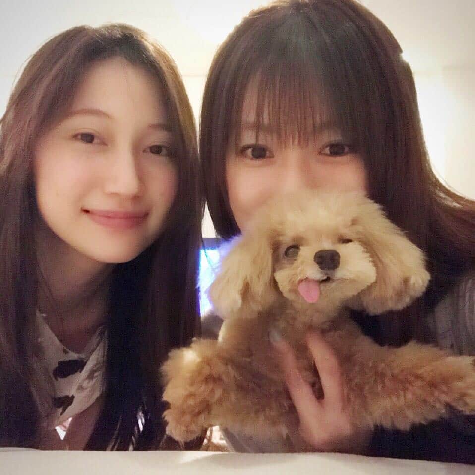 深田恭子のインスタグラム：「この日は私のお家に遊びに来てくれました🌸いとちゃんと私は、空気と温度と感じ方が似てる、同じ物事に対しても行動の仕方や発する言葉は違うけど...魅力的で、いつも話し足りないくらい🐇21歳のいとちゃんに遊んでもらっている34歳のわたし....いとちゃん...🎀 #itoohno #melonpanna #kyokofukada」