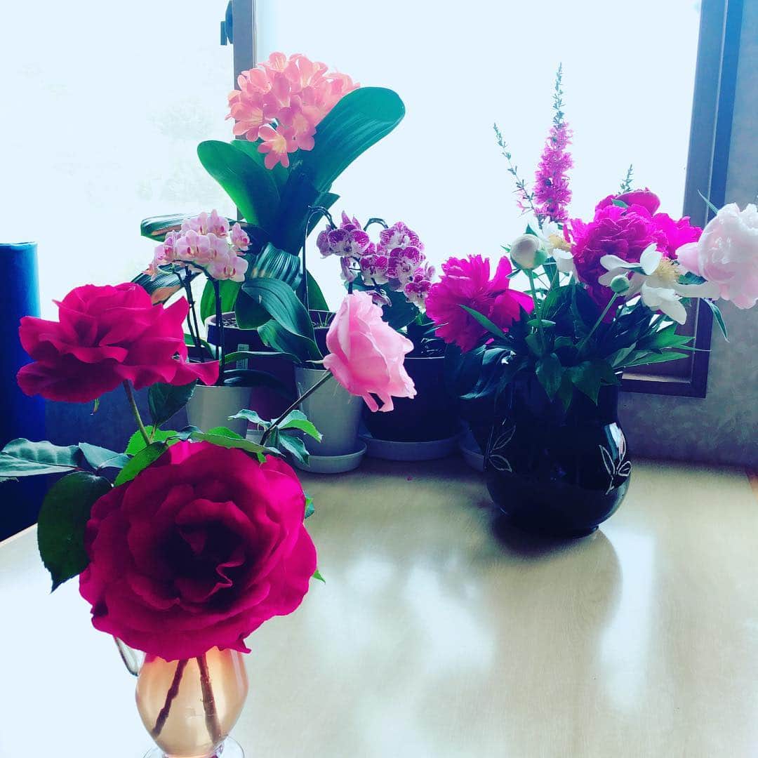 岩渕香里のインスタグラム：「うめのやさんはいつもお花でいっぱいで素敵💐🌹🌸🌺🌷🌻🥀🌼💐✨ これがお庭で採れたお花だなんてびっくり〜 朝治さんのガーデニング知識の豊富さにもびっくり〜」