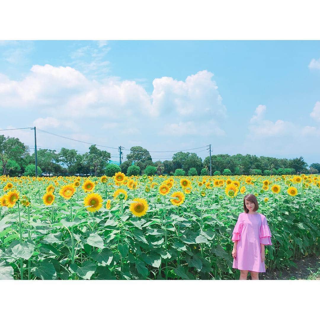 ドーキンズ英里奈さんのインスタグラム写真 - (ドーキンズ英里奈Instagram)「#🌻 🌻 🌻 🌻 #向日葵 #ひまわり畑 #岐阜 #いちのえだ田園フラワーフェスタ  #sunflower #yellow #summer #岐阜ドキン」7月22日 23時45分 - erinadawkins
