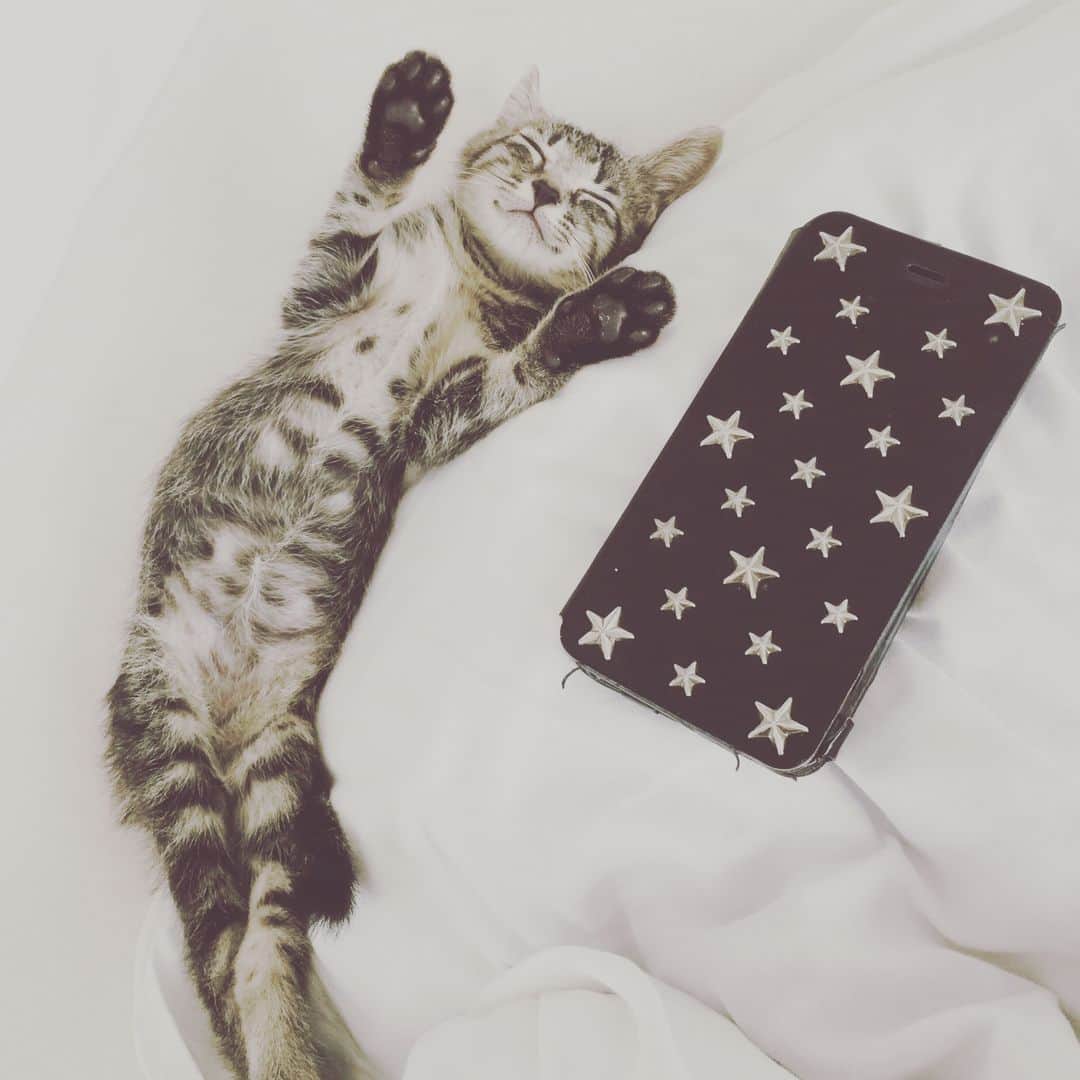 とよた真帆さんのインスタグラム写真 - (とよた真帆Instagram)「私の猫DADAちゃんでチャームを作ってくれた弘美ちゃん😃ありがとう #猫#猫チャーム #手作り #cat #cute #catlove #サプライズプレゼント  #happy #love」7月23日 11時20分 - maho_toyota