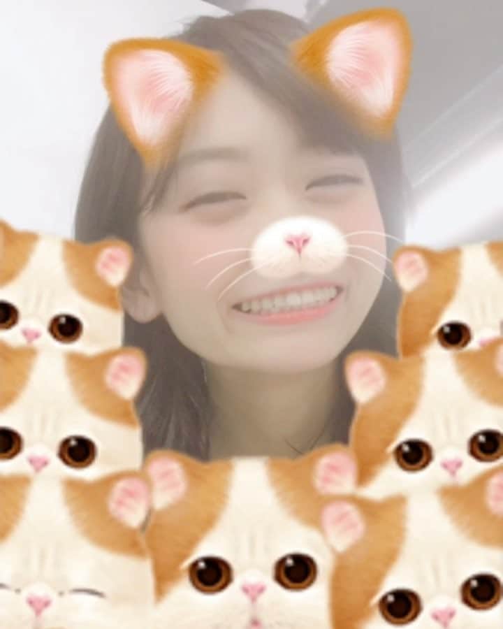 竹田愛のインスタグラム：「にゃーฅ^•ω•^ฅ #にゃんこにまみれてみた #撮影 #合間のひとり遊びw #shooting #ひさしぶりに猫カフェいきたい🐱」