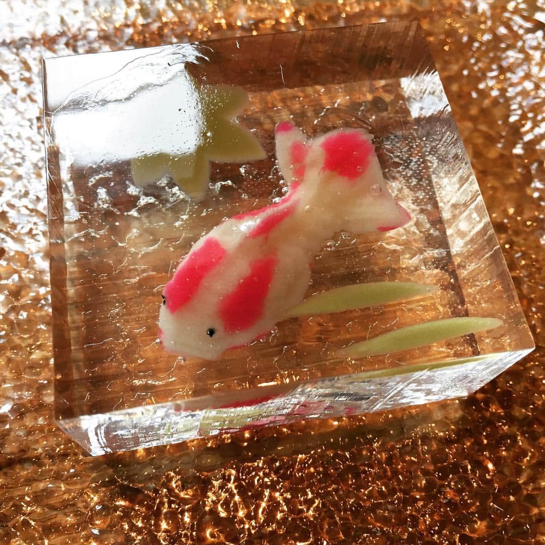 青田典子さんのインスタグラム写真 - (青田典子Instagram)「こんな可愛い水ようかん食べました (*´◒`*)💕」7月24日 2時32分 - norikoaota