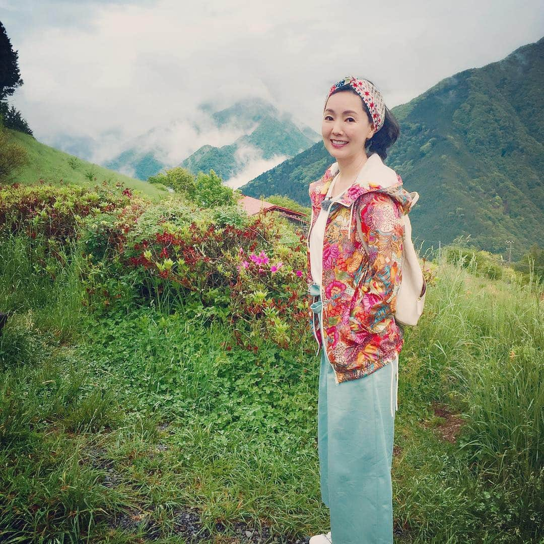 とよた真帆さんのインスタグラム写真 - (とよた真帆Instagram)「NHK趣味どきっ！長野県遠山郷 ON AIRです  #NHK #趣味どきっ！#長野県#旅 #遠山郷 #山 #山間 #mountain #japan#nagano #flower #green #happy #tv #actor」7月24日 9時57分 - maho_toyota