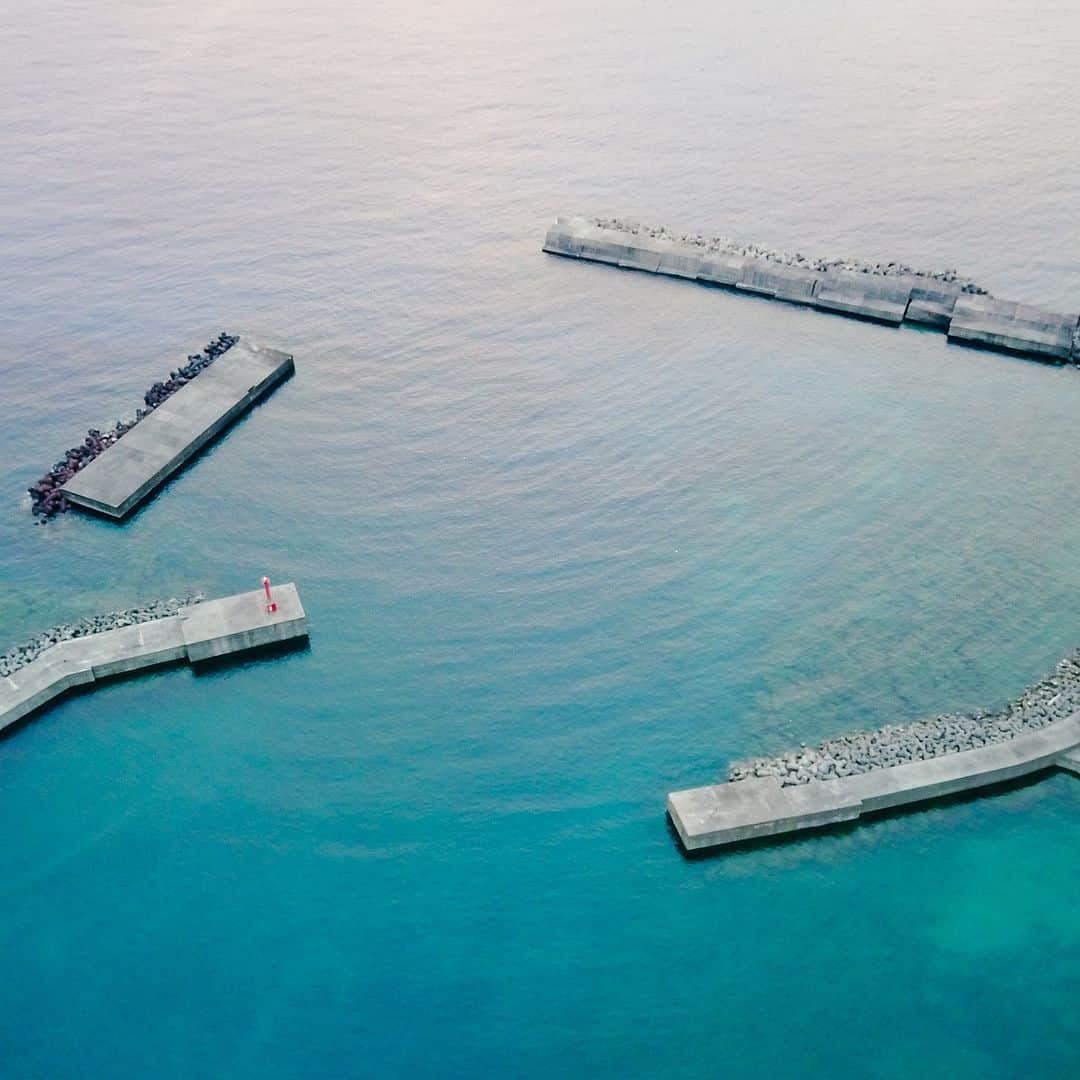 佐藤健寿のインスタグラム：「ニ島目、#トカラ列島 の #口之島 へ。道路で遭遇した野生のトカラ牛は10頭程しか現存しない最後の日本在来種らしい。」