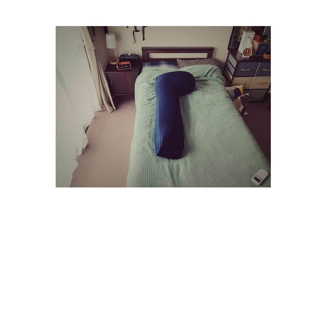 本田翼さんのインスタグラム写真 - (本田翼Instagram)「💤 病める時も健やかなる時も 共に居てください。 #抱き枕 #わにとかげぎす  #富岡さんの抱き枕」7月24日 22時41分 - tsubasa_0627official