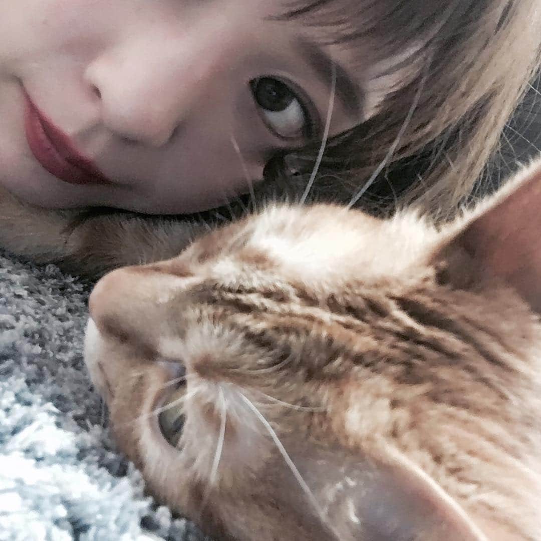 古川貴絵さんのインスタグラム写真 - (古川貴絵Instagram)「・ 最近 なかよし だと思ってる 😸 尽くしてるのに尽くしてるのに 振り向いてくれないけど 。 #片想い #猫」7月25日 0時22分 - _kiegram