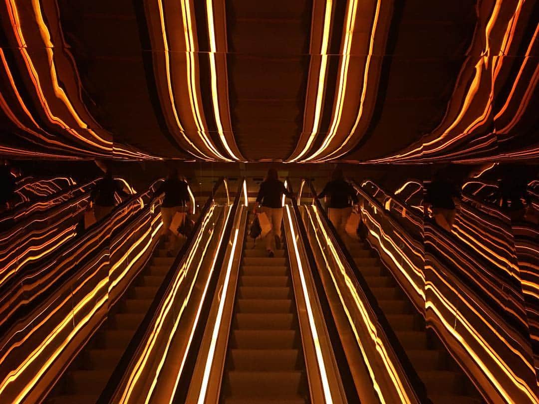 Michael Yamashitaさんのインスタグラム写真 - (Michael YamashitaInstagram)「Up escalator at the Public Hotel, NYC. #newyorkcity  #nyc @publichotels @natgeo @natgeocreative @thephotosociety」7月25日 11時06分 - yamashitaphoto