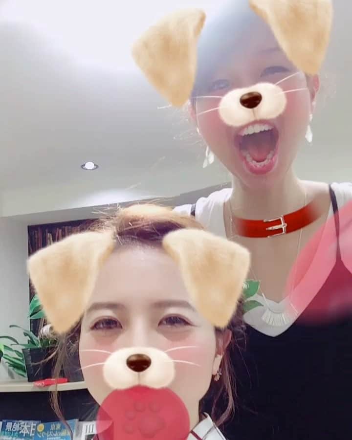のインスタグラム：「🐶 銀座Arrangeの増満さん💛 @macoo0703 ⋆ ・ ・ #撮影 #サロン #サロンモデル #サロン撮影 #撮影モデル #ヘアスタイル #作品撮り#サロモ #東京 #美容室  #ヘアモデル #ヘアカラー #カラーモデル #ヘアカタログ #ポートレートモデル #ヘアカタ #hairmodel #hairstyle #hairsalon #hair #tokyo #shooting #japanese #portrait」