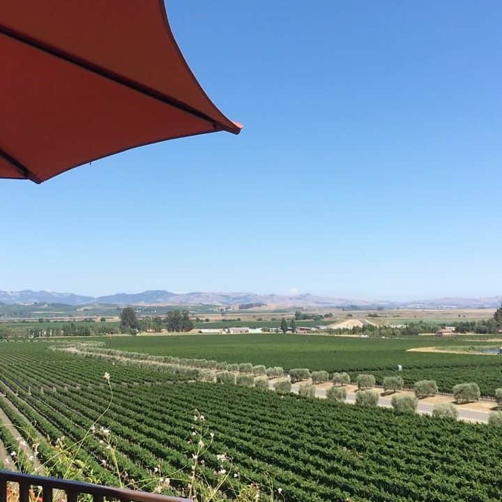 のインスタグラム：「Beautiful Sonoma #sonoma #winetasting #wine」