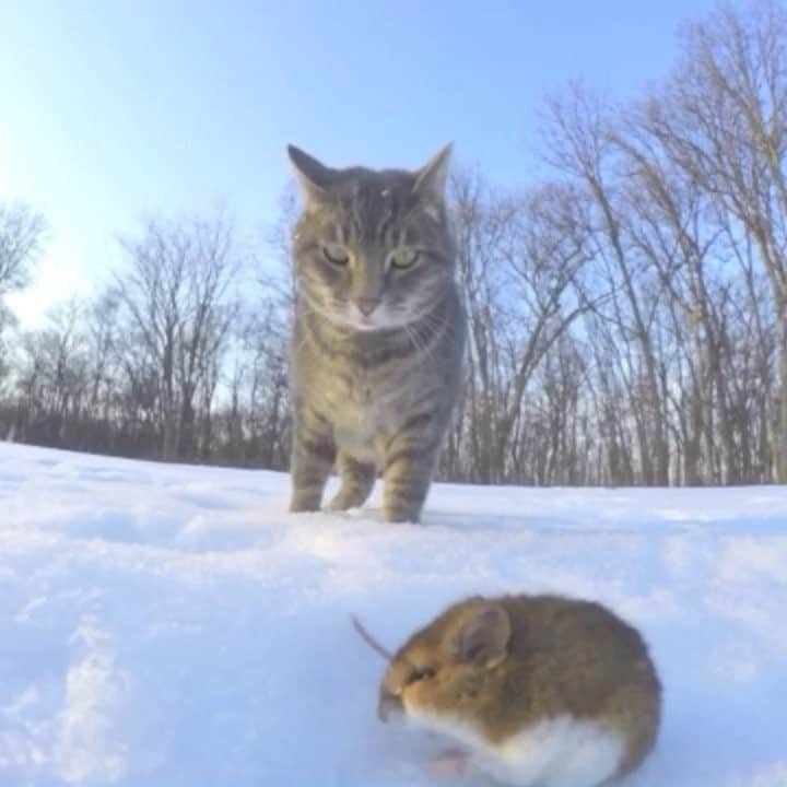 マニーのインスタグラム：「Tom & Jerry throwback」