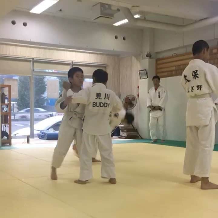 石井美音奈のインスタグラム：「柔道体験🥋  キッズ達が練習してる！！」