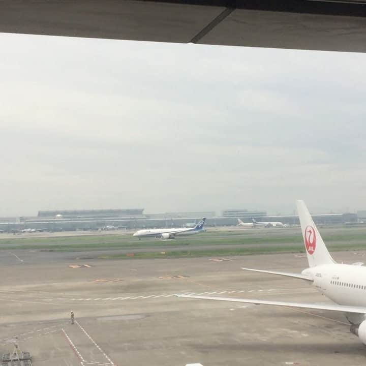 石倉洋子のインスタグラム：「Good to see planes take off..,」
