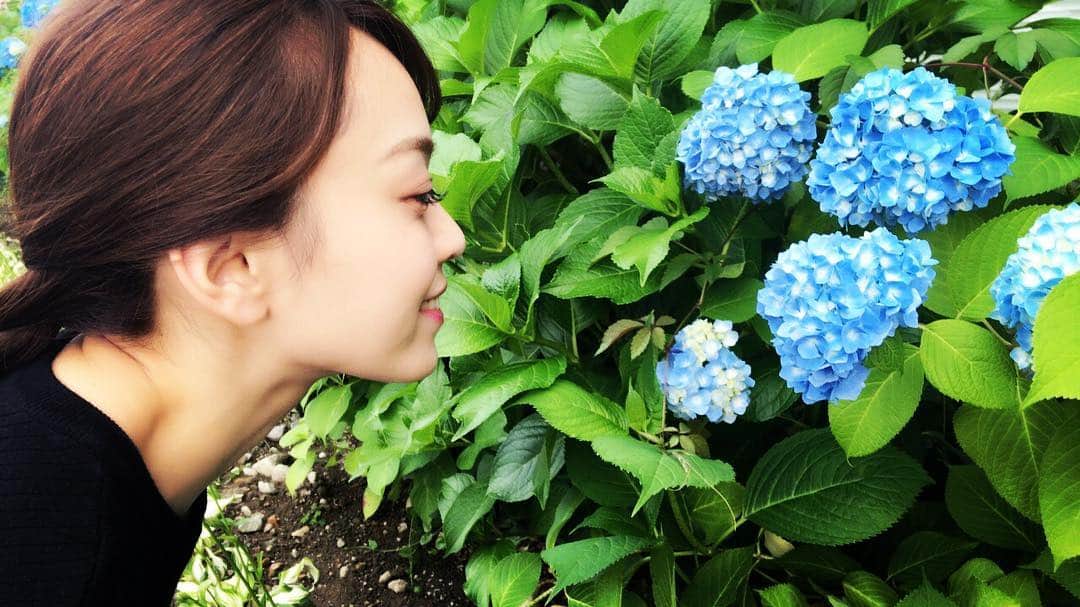杜このみのインスタグラム：「紫陽花」