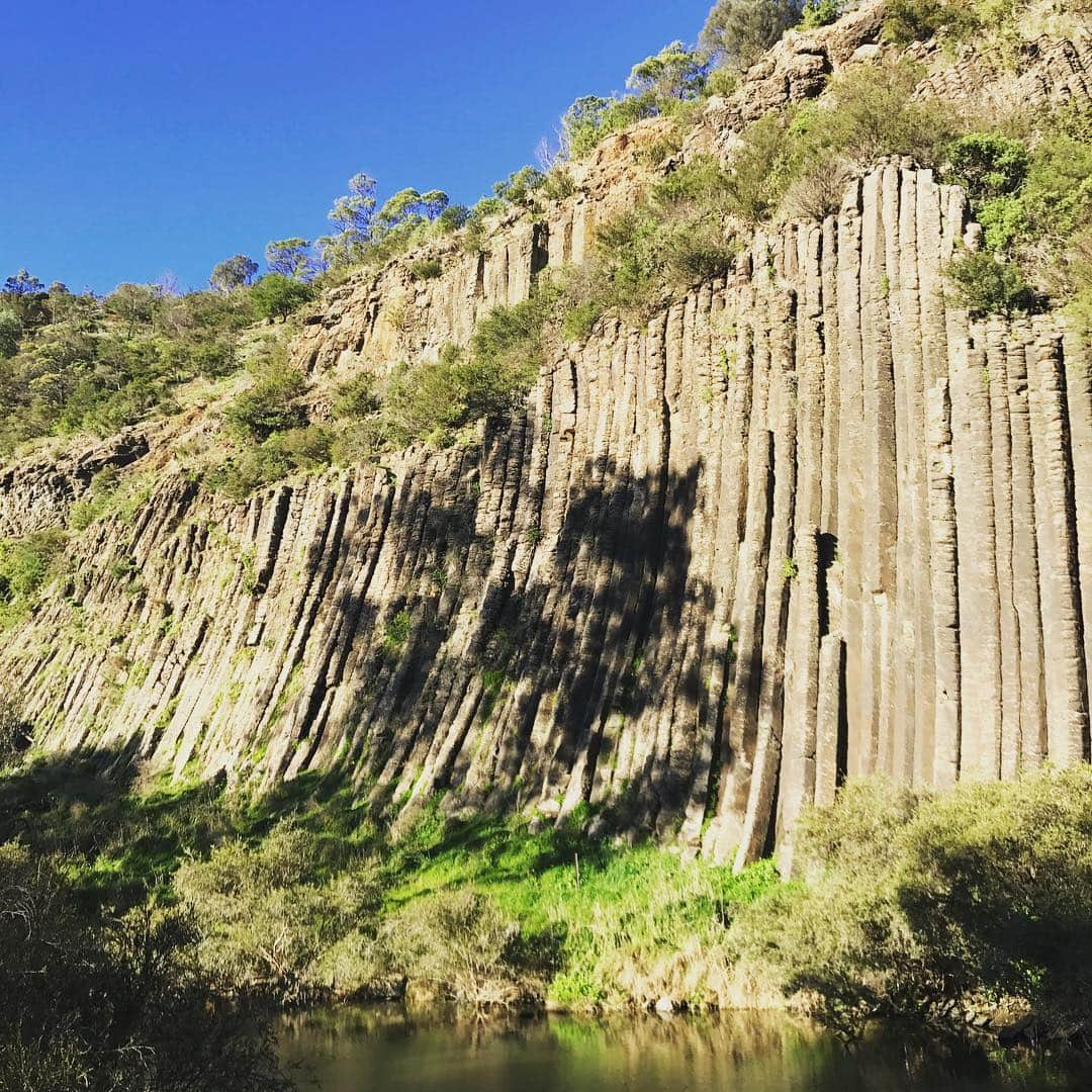 斎藤陽介のインスタグラム：「The power of nature#earth#nature#rock#water#park#holiday#traveling#hiking#relaxing#australia#melbourne#melbournelife#organpipenationalpark#love#peace#l4l#f4f#instaboy#instafollow」