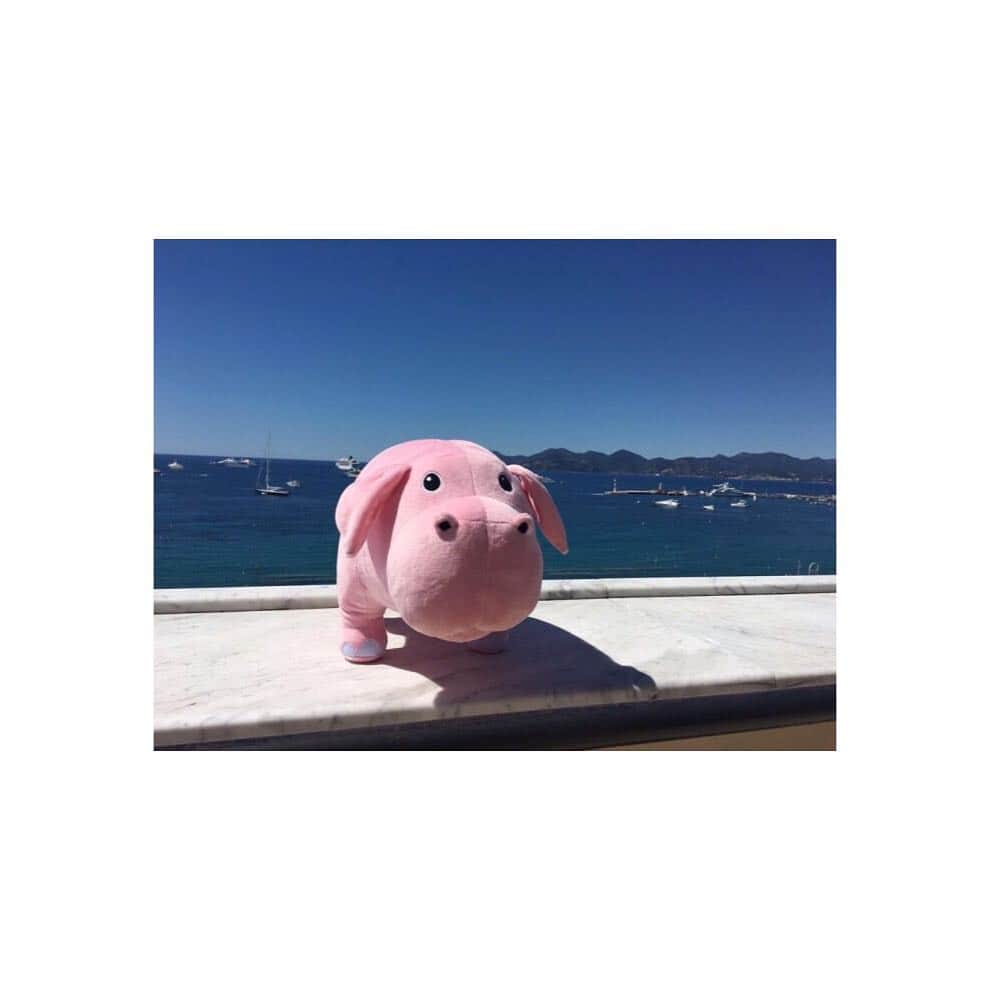 シム・ウンギョンのインスタグラム：「옥자야 행복해야해 #okja#옥자」