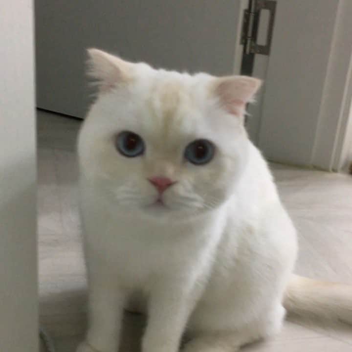 SoonMooのインスタグラム