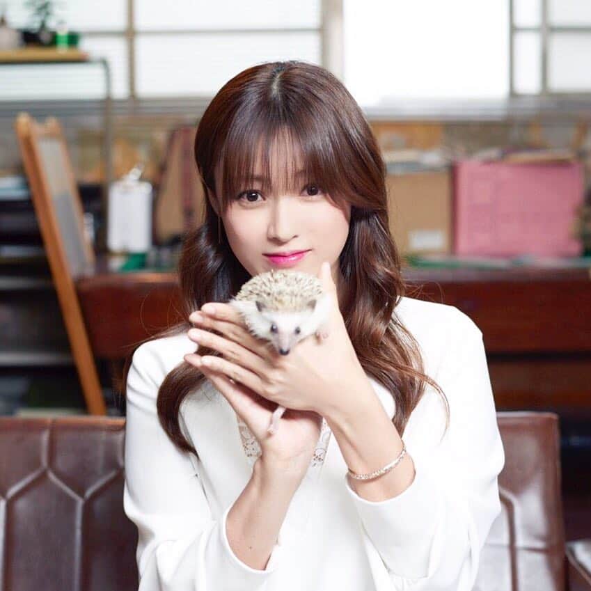 深田恭子のインスタグラム：「７月14日からTBS金曜ドラマハロー張りネズミが始まります🐭 ドラマに因んでハリネズミと写真を撮らせてもらう機会があったのですがご立腹で針が絶好調にツンツンでした🤣❗️...すごく痛かった...🙂 #ハロー張りネズミ #ごめんハリネズミ」