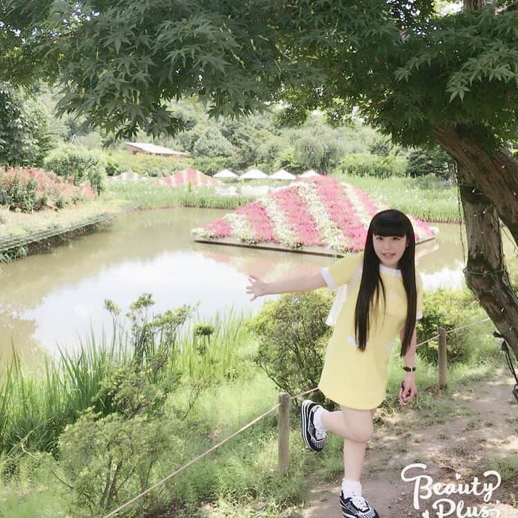 KOTOのインスタグラム：「たっくさんのお花🌸🌼🌹に癒されまちた☺️✨ りふれっーしゅ✨✨✨ #japanesegirl  #idol  #あしかがフラワーパーク  #お散歩  #栃木」