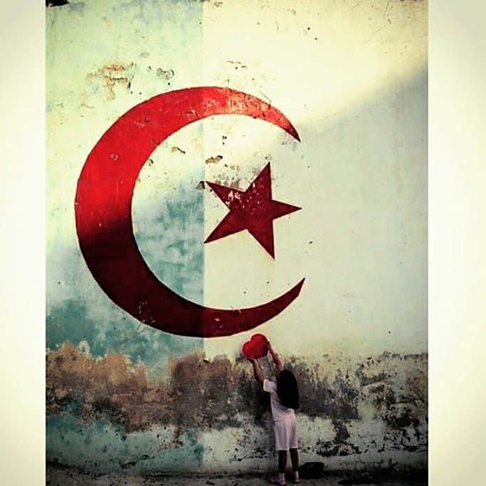 サフィル・タイデルさんのインスタグラム写真 - (サフィル・タイデルInstagram)「تحيا الجزائر ❤💚」7月6日 9時13分 - saphirtaiderofficiel