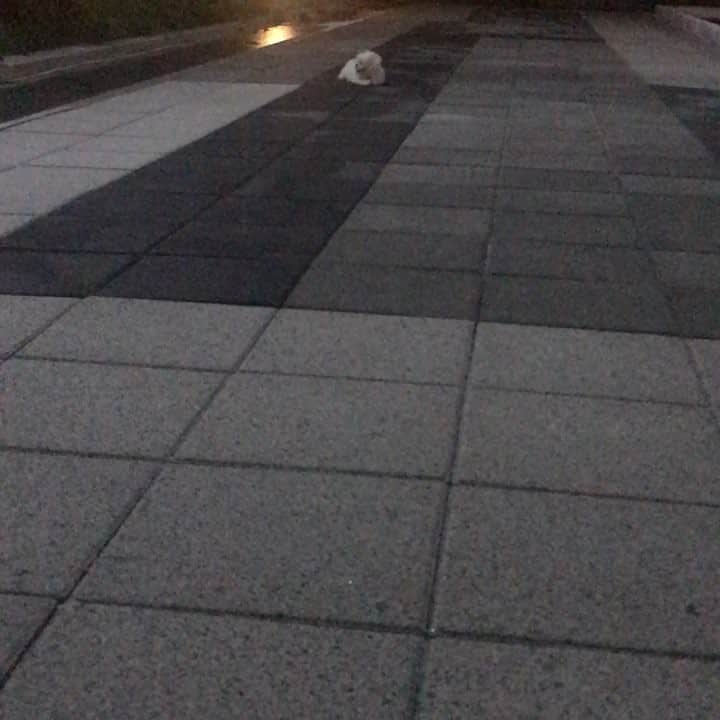 イトゥク のインスタグラム