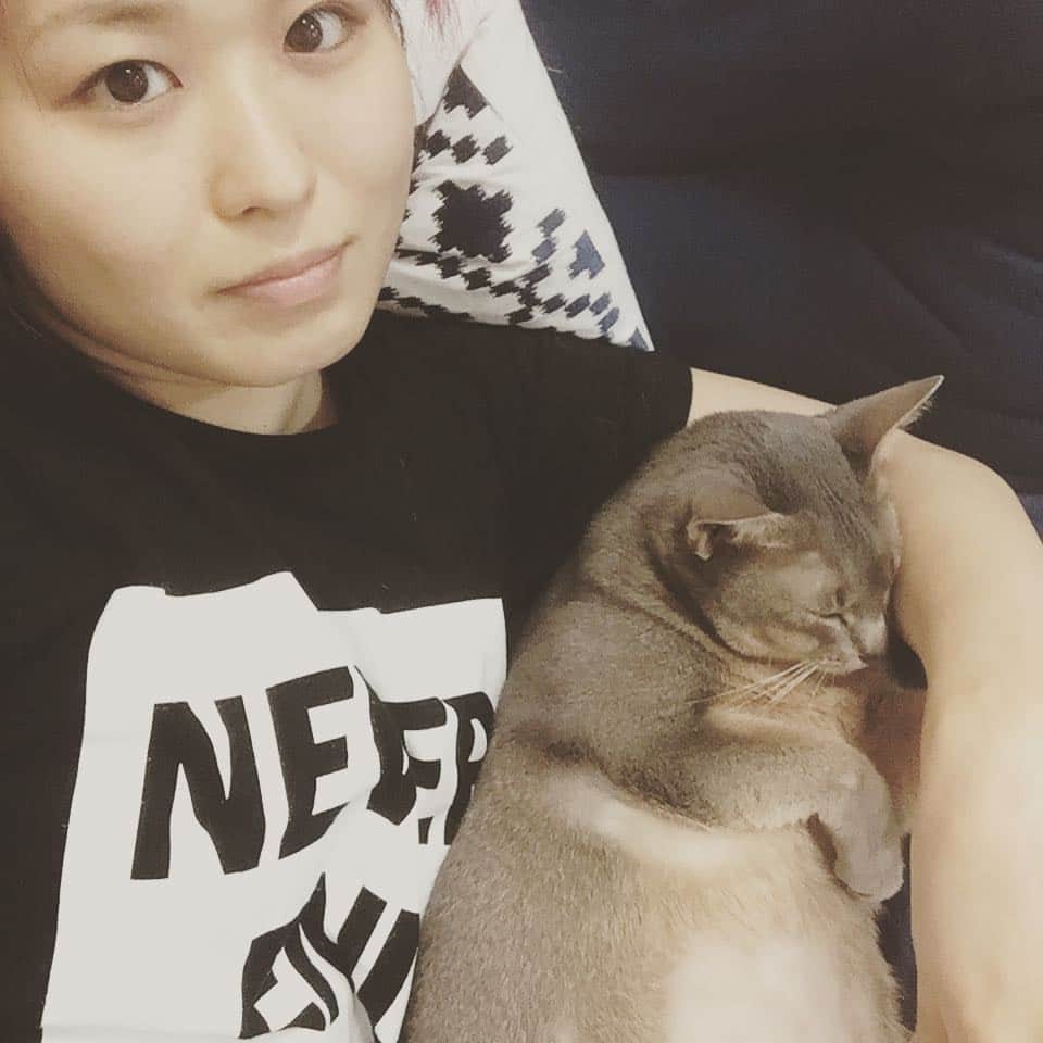 紫雷イオさんのインスタグラム写真 - (紫雷イオInstagram)「#cat #love #goodsleeper」7月7日 23時51分 - iyo_sky