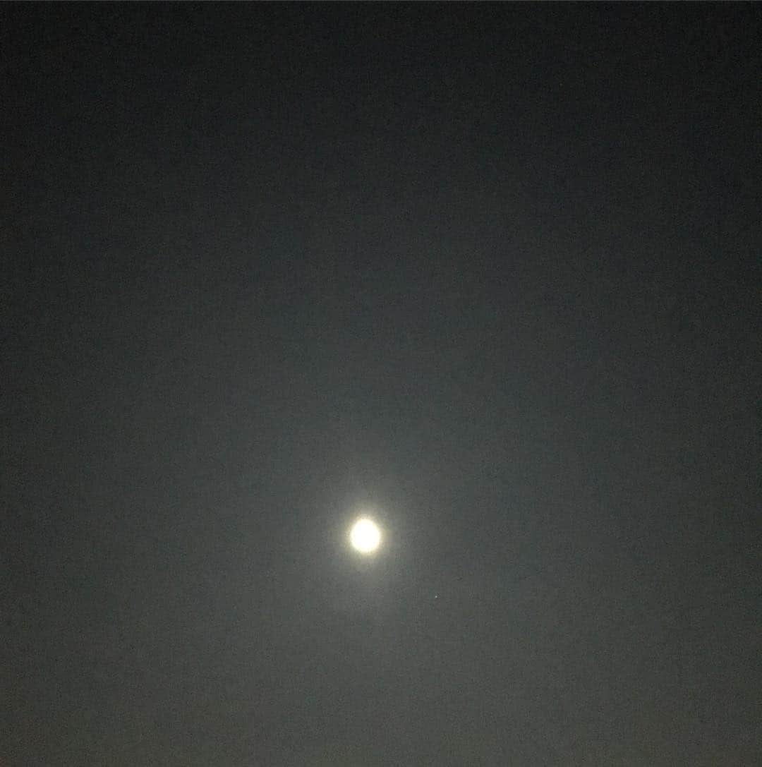 眞家泉さんのインスタグラム写真 - (眞家泉Instagram)「🌙 心からほっとできる日が、穏やかに空を見上げられる日が、多くの方に訪れてほしいです。 いま穏やかに過ごしている方々にも、今夜の月を。 気持ちの安らぐ場や時間が、どこかにほんの少しでもあるように🌃 . #月 #夜空」7月8日 0時17分 - maie_izumi