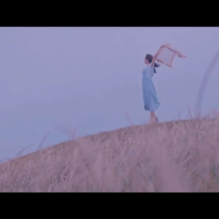 Goodbye holidayのインスタグラム：「夏の彗星/Goodbyeholiday」