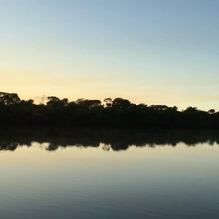 久保田智子のインスタグラム：「I am in the Amazon rainforest. #theamazon #brazil #xingu #アマゾン #熱帯雨林 #シングー川 #シングー保護区」