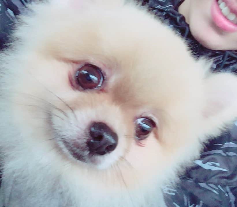 のインスタグラム：「😍」