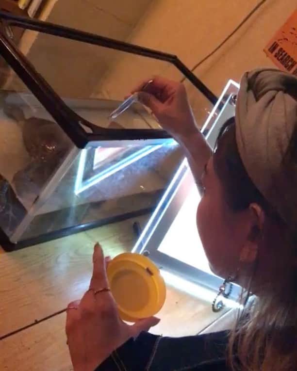 間宮梨花のグルメインスタ