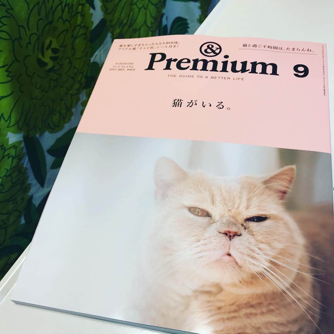 今日マチ子のインスタグラム：「&Premiumにムーム&ネルネが登場してるわよ！秘蔵写真とインタビューなど。ぜひみていただきたいわね  #andpremium #猫」