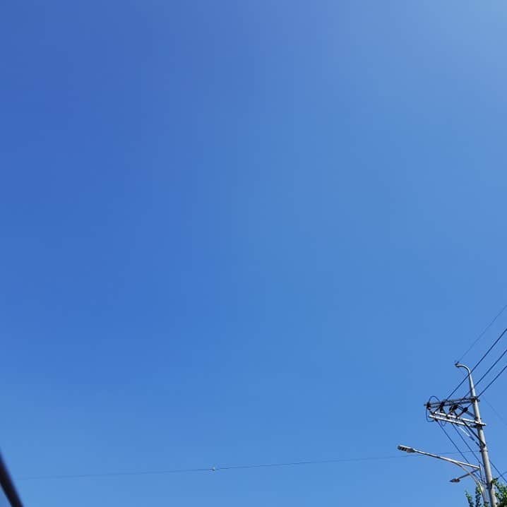 ク・ハラさんのインスタグラム写真 - (ク・ハラInstagram)「롤링타바코 입니다.  신기해서 사진을 찍었던거에요~ 구름 한점 없는 하늘. 모두 더위 조심하세요!」7月26日 10時25分 - koohara__