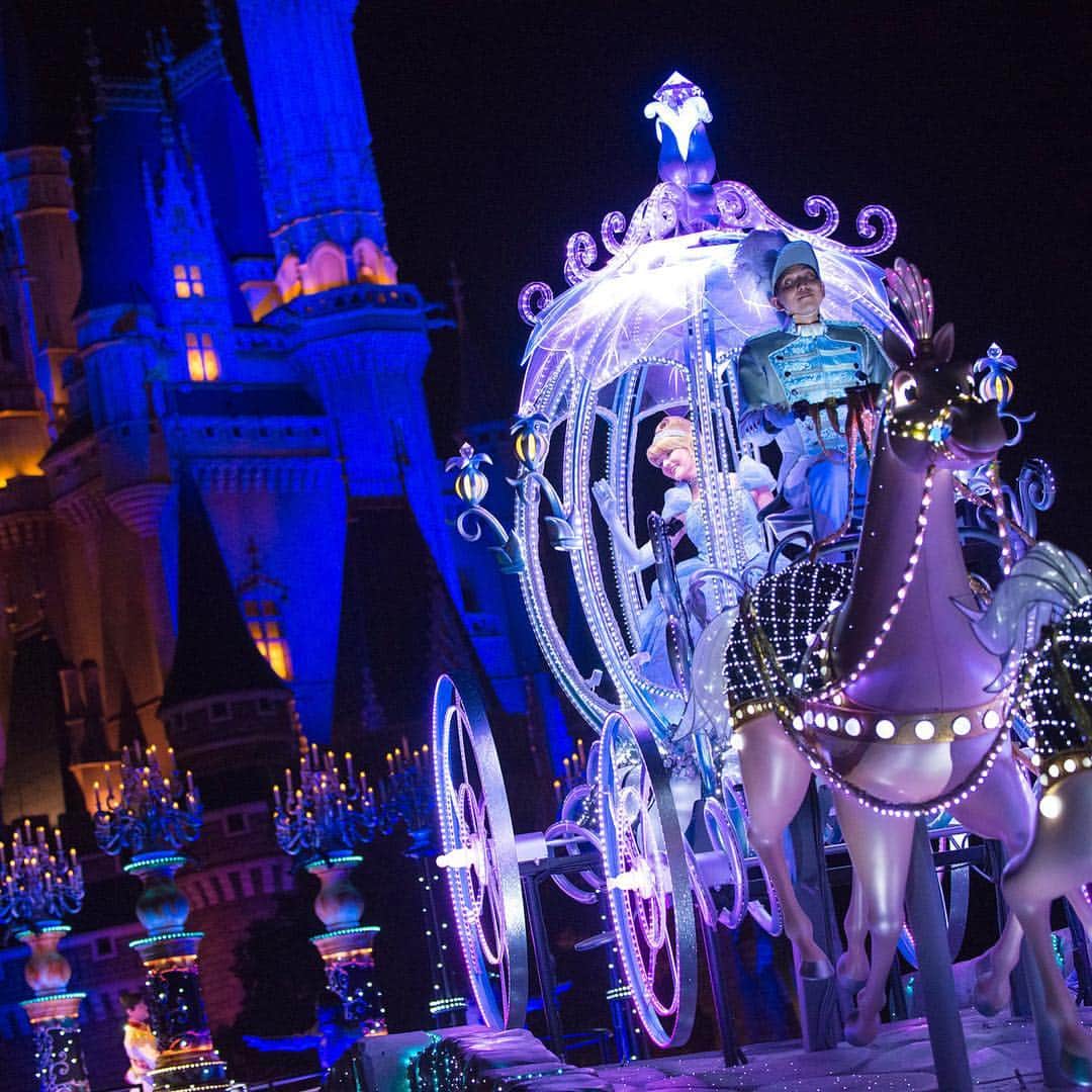 特別価格 シンデレラ城と馬車 その他 Magazine Feaffa Com