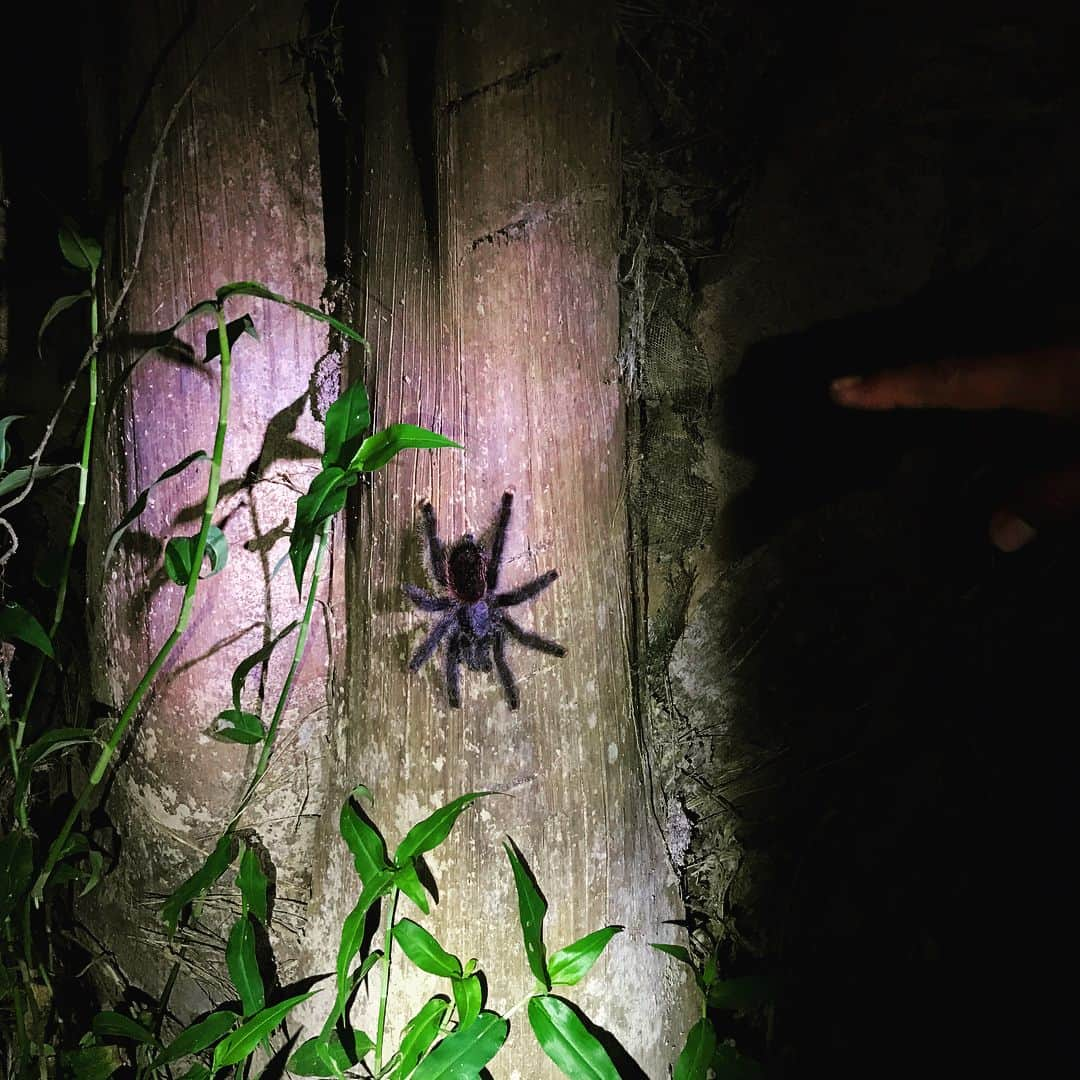 ウィットニー・バンスさんのインスタグラム写真 - (ウィットニー・バンスInstagram)「Amazon adventures 💫 swam in the Amazon River and camped in the jungle under a full moon ✨  #magic #maybeiwasMowgliinapastlife  #bucketlist」7月12日 11時07分 - wjvw