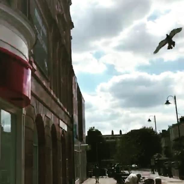 Masakiのインスタグラム：「cool!! #street #streetmusician #guitar #Cheltenham」