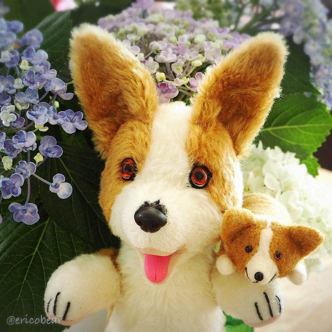 ericoのインスタグラム