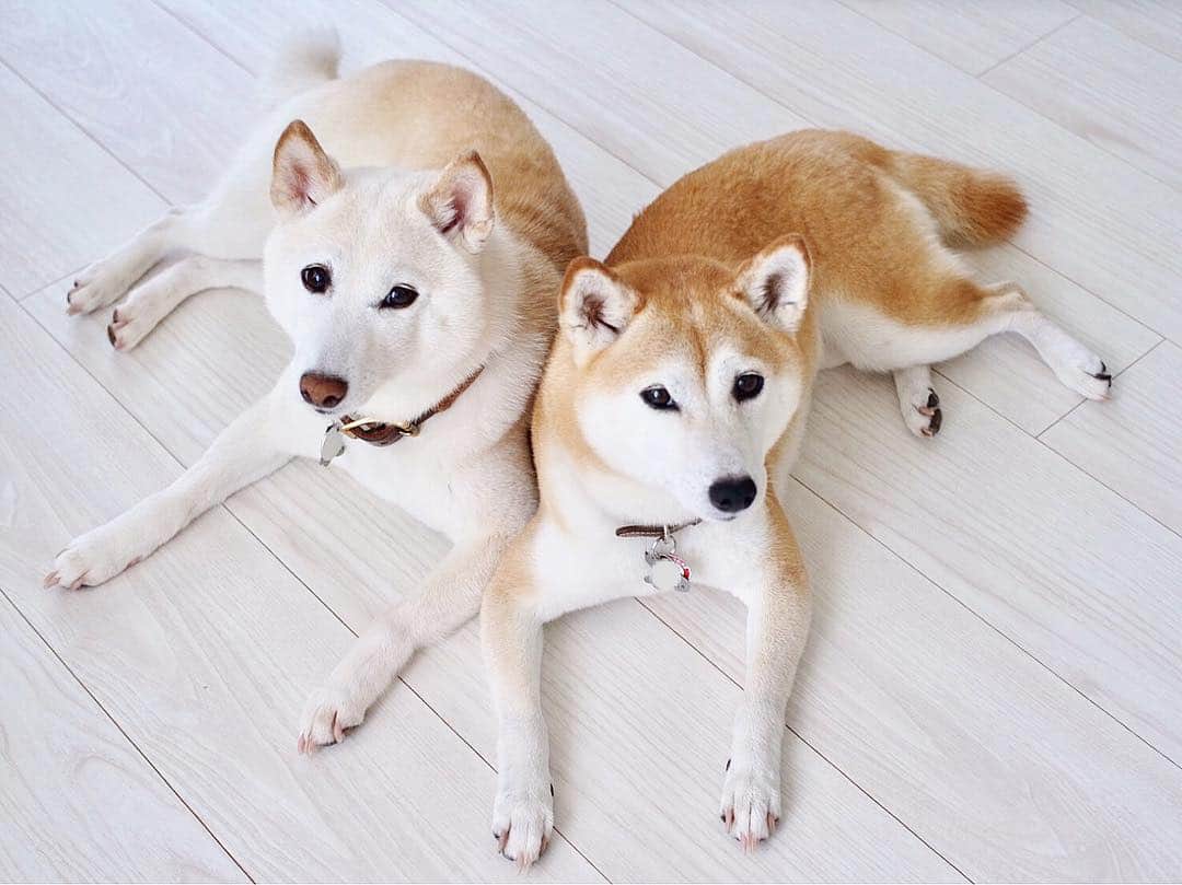 さくぽて（高垣麗子）のインスタグラム