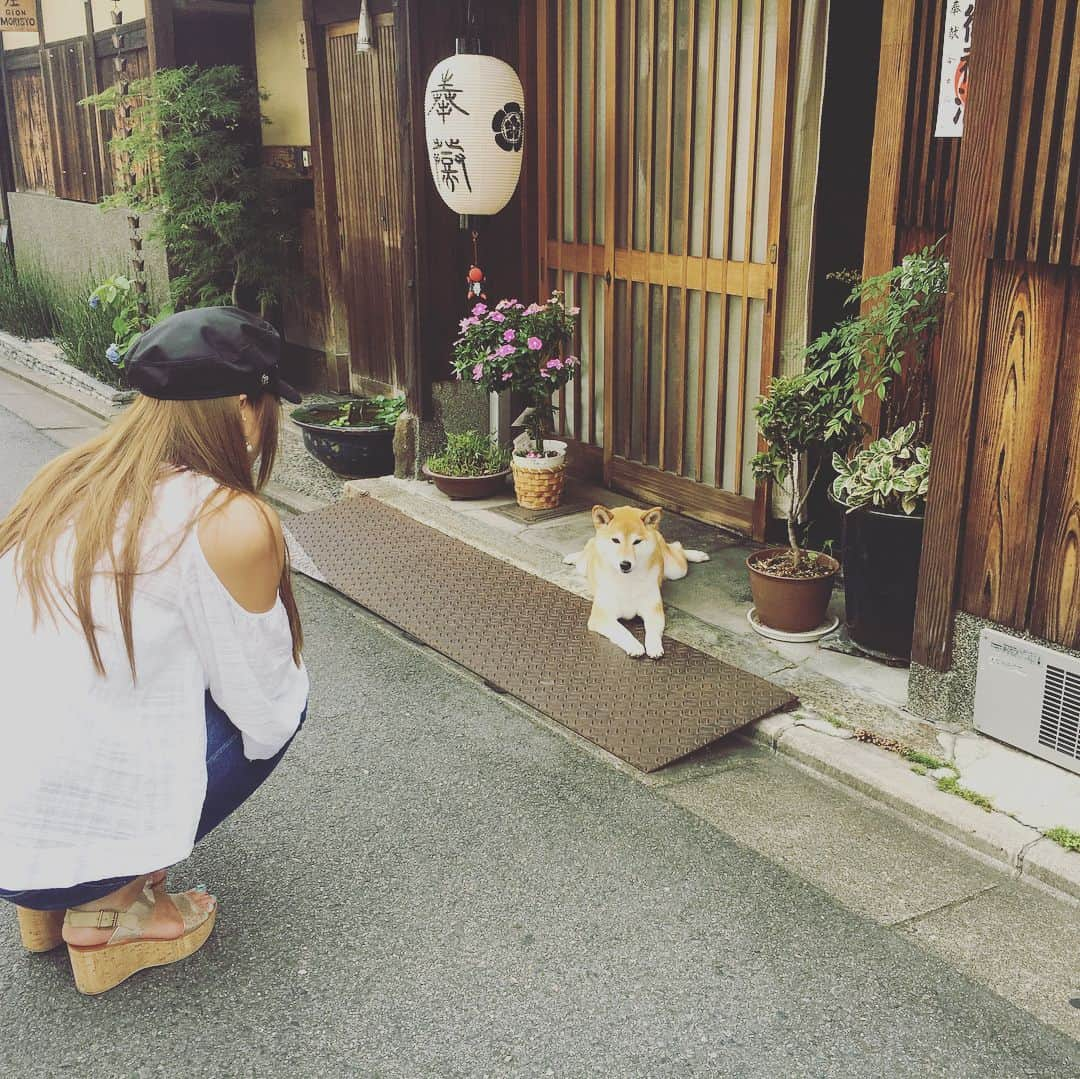 青木愛さんのインスタグラム写真 - (青木愛Instagram)「こないだのオフ💙 祇園まで遊びに行ってきたよ🚗💕 最近インスタでよく見かける八坂庚申堂に行ったり、手まり寿司食べたり🤹🏻‍♂️🍣 暑くてひーひー言いながらも、かなり楽しんだ1日でした🌞🌈❤ #京都 #八坂庚申堂 #お願い事書きたかったのにくくり猿売り切れてた🙈💦 #手まり寿司 #🍣」7月14日 17時27分 - aiaoki_official