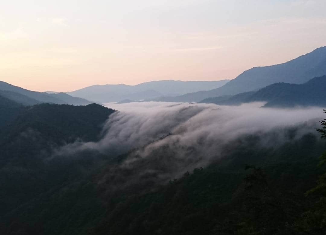 山田彩乃さんのインスタグラム写真 - (山田彩乃Instagram)「銀山平で見た雲海がとっても綺麗。 滝のように流れているので 滝雲というそう。 神秘的やー。  山登りをせず、車道から見られる場所は 全国的に見ても珍しいそうです☆  #魚沼市  #銀山平  #雲海  #滝雲」7月14日 18時57分 - ayano.yamada