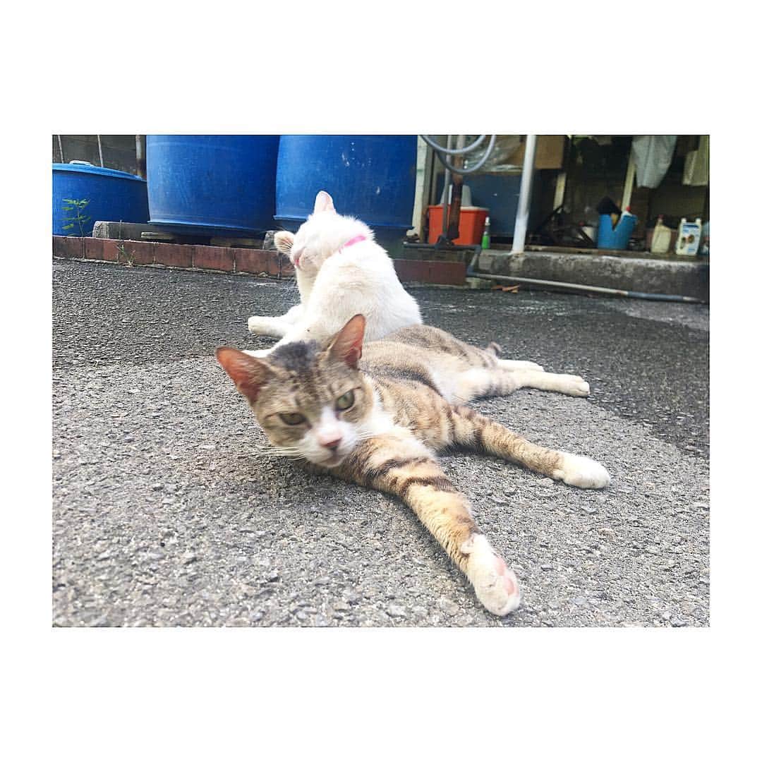 寺内健のグルメインスタ