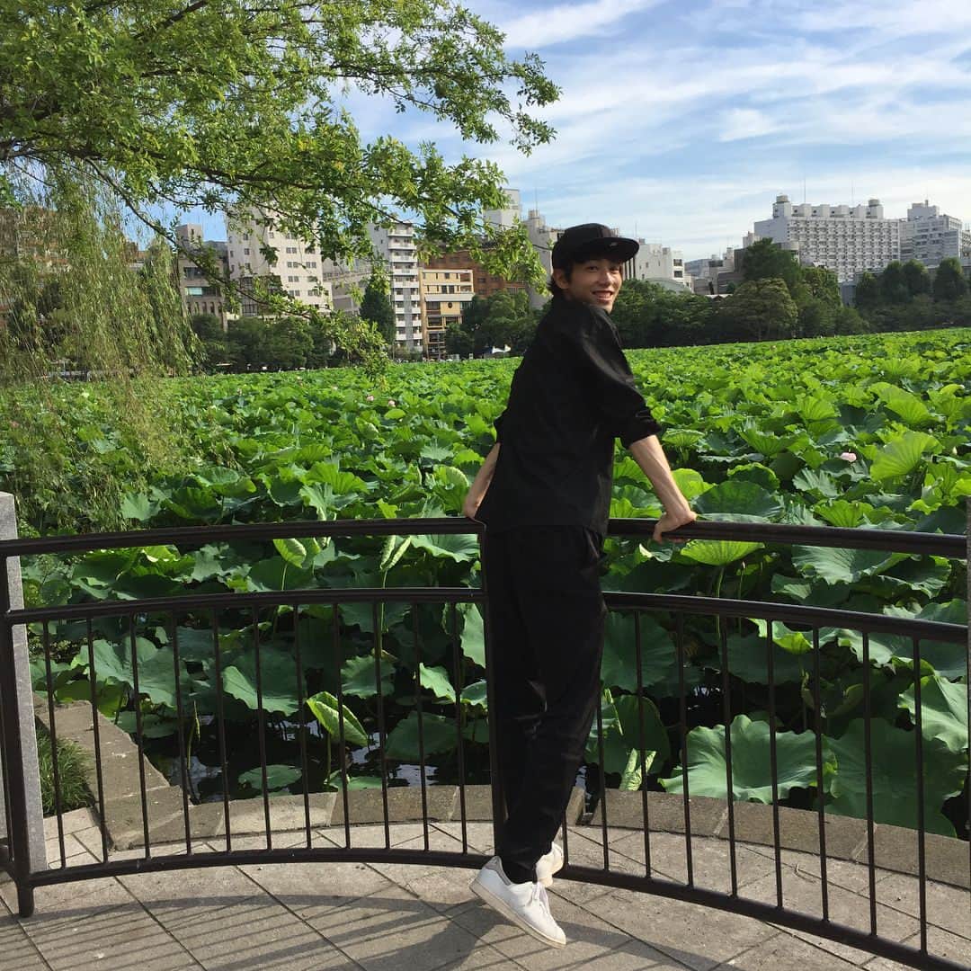 國島直希のインスタグラム：「上野公園行ってきました！  池一面のハスに癒されてきました 自然と心が落ち着く 最近行けてなかったけど、一人旅でよく行く場所  #不忍池#不忍池の蓮 #黒服#やっぱり夏は白服」