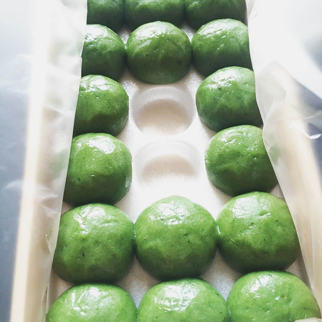 久保陽香さんのインスタグラム写真 - (久保陽香Instagram)「昨日、大師前で買った草団子🍡 #西新井大師名物#中田屋#1802年創業#老舗#草だんご#全種類試食#サービス素敵すぎた#お気に入り#お大師だんご#中にこしあん#ぺろり」7月15日 10時57分 - kubo_haru