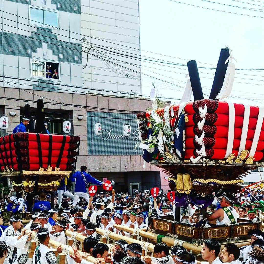 丸山穂高のインスタグラム：「暑い夏の始まりを告げる貝塚市感田神社の太鼓台祭り。泉州もいよいよ夏から秋にかけての祭りの季節へ。 #太鼓台 #感田神社」