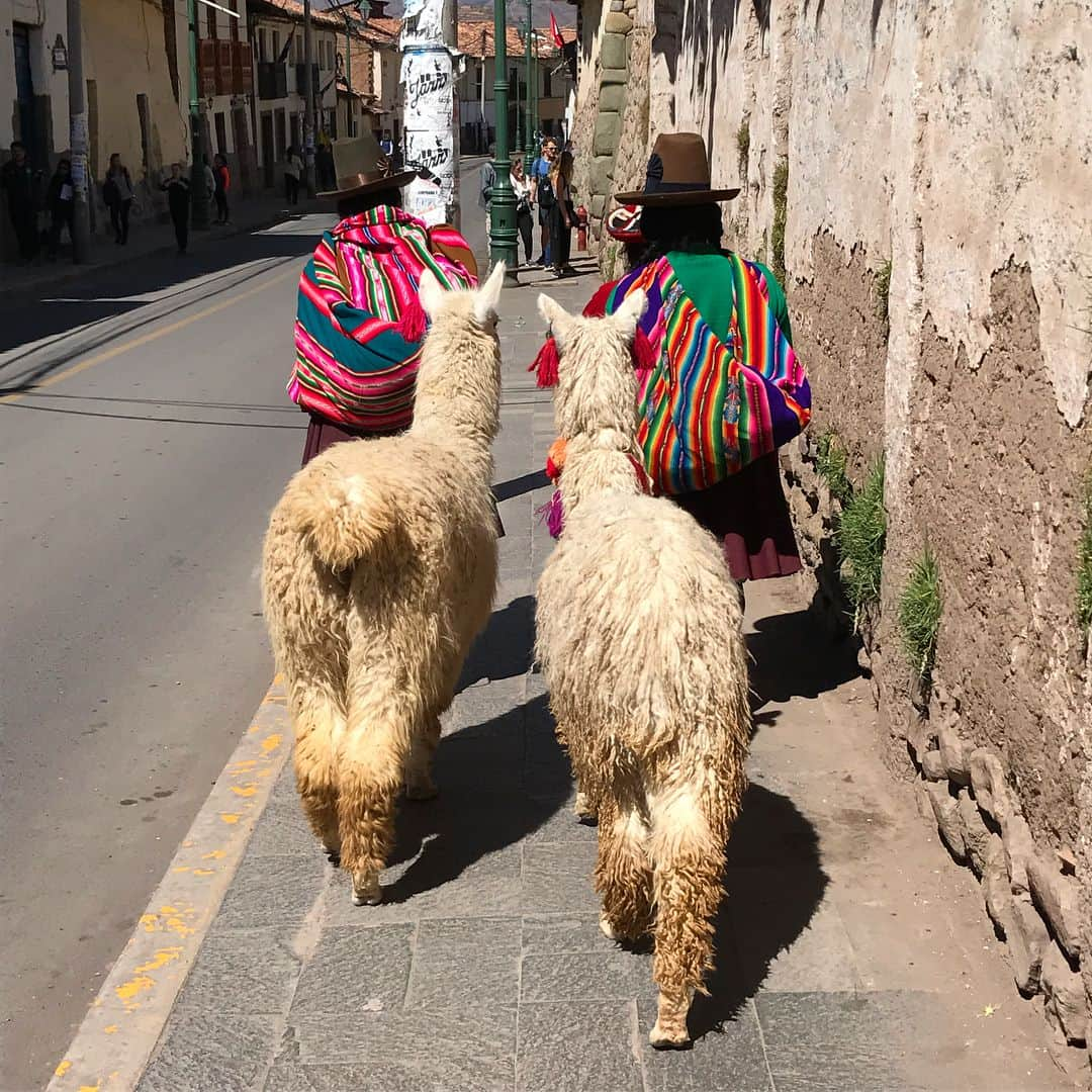 ウィットニー・バンスさんのインスタグラム写真 - (ウィットニー・バンスInstagram)「Peru 🇵🇪❣ #Pisac #SanPedro #mercados #PachamamaConexionFestival #facepaintalways #HareKrishnas #feelinglikealocal」7月18日 2時15分 - wjvw