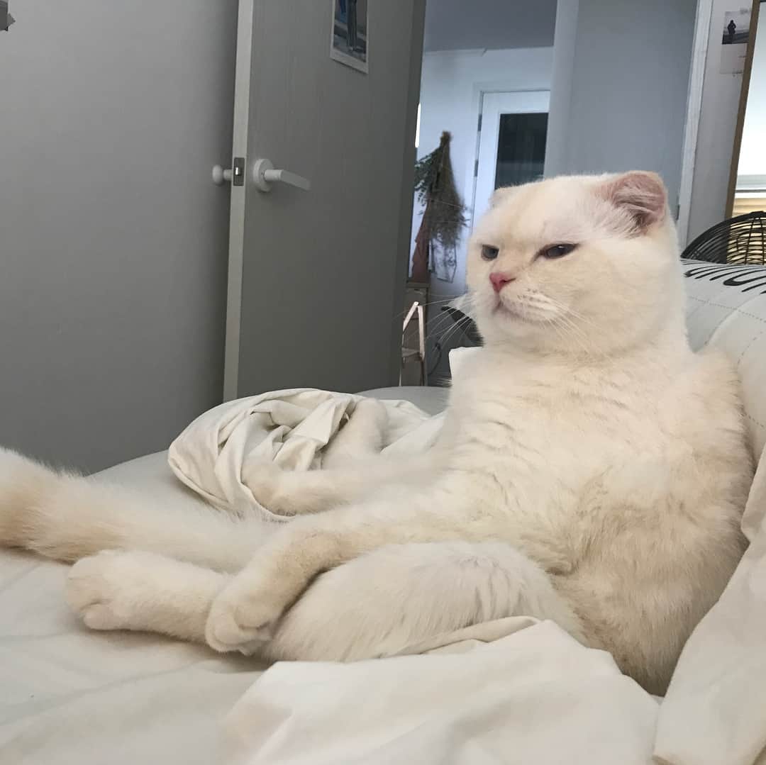 SoonMooのインスタグラム